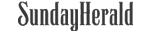 Lorem ipsum dolor sit amet Logo 2